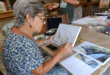 Património de Vieira do Minho inspira projeto artístico na Casa de Lamas