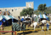 Recriação Histórica do Recontro de Valdevez volta a afirmar a identidade de Arcos de Valdevez