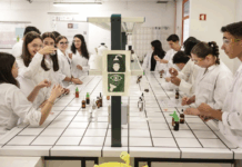 Universidade do Minho recebe cerca de 400 jovens para uma semana de ciência, inovação e descoberta