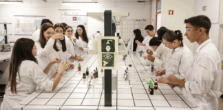 Universidade do Minho recebe cerca de 400 jovens para uma semana de ciência, inovação e descoberta