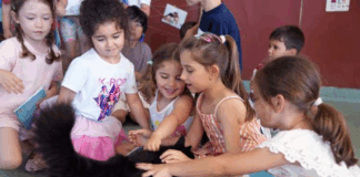 Projeto “Escola Amiga dos Animais” envolve 3.800 alunos e reforça educação para o bem-estar animal em Braga
