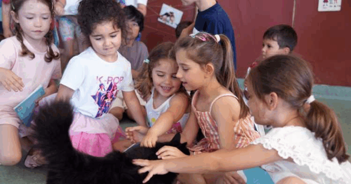 Crianças animais
