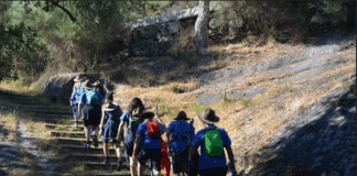 Mais de 5 mil escuteiros reúnem-se em Guimarães para o maior acampamento regional do verão