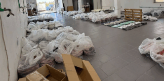 GNR apreende mais de 15 mil peças de vestuário contrafeitas em Braga e Porto