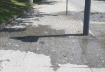 Água desperdiçada junto à estátua de D. Gualdim Pais gera críticas em Amares