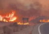 Incêndio devastador em Almería faz 12 mortos e deixa dezenas de desaparecidos