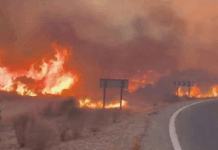 Incêndio devastador em Almería faz 12 mortos e deixa dezenas de desaparecidos