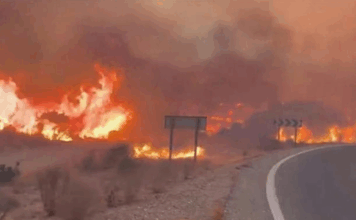Incêndio devastador em Almería faz 12 mortos e deixa dezenas de desaparecidos