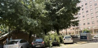 Ramos de árvores de grande porte caem em cima de carros na Praça do Bocage