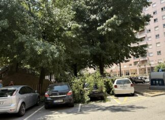 Ramos de árvores de grande porte caem em cima de carros na Praça do Bocage