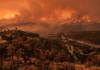 Governo declara situação de alerta em todo o continente devido ao risco extremo de incêndios
