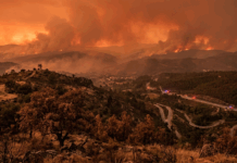 Governo declara situação de alerta em todo o continente devido ao risco extremo de incêndios