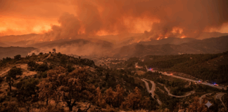 Governo declara situação de alerta em todo o continente devido ao risco extremo de incêndios