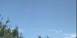 Morteiro de guerra encontrado junto à praia da Ramalha foi neutralizado pela GNR em Esposende