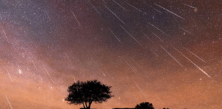 Perseidas atingem o pico esta noite: onde observar no Minho
