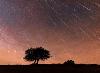 Perseidas atingem o pico esta noite: onde observar no Minho