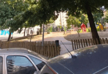 Ramo de árvore de grande porte parte na Praça do Bocage e ameaça viaturas em Braga