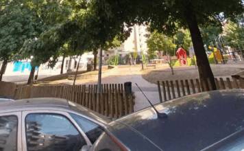 Ramo de árvore de grande porte parte na Praça do Bocage e ameaça viaturas em Braga