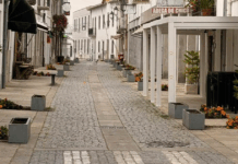 Vandalismo em Caminha: arrancam todas as flores de rua no centro da vila
