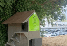 Guimarães reforça proteção das colónias felinas com instalação de mais oito abrigos