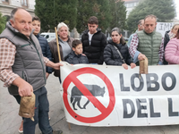 Criadores de gado protestam em Arcos de Valdevez e exigem medidas contra ataques do lobo