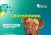 Cãominhada da Expo Animal convida famílias a descobrir Braga na companhia dos seus cães