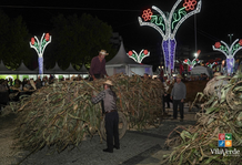 Festa das Colheitas de Vila Verde entra no fim de semana com «Caurdo», concursos pecuários e folclore