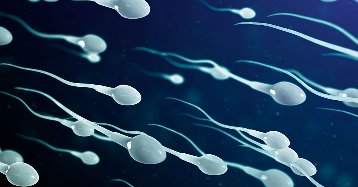 Sexo todos os dias reduz a quantidade de espermatozoides? Sexólogo esclarece
